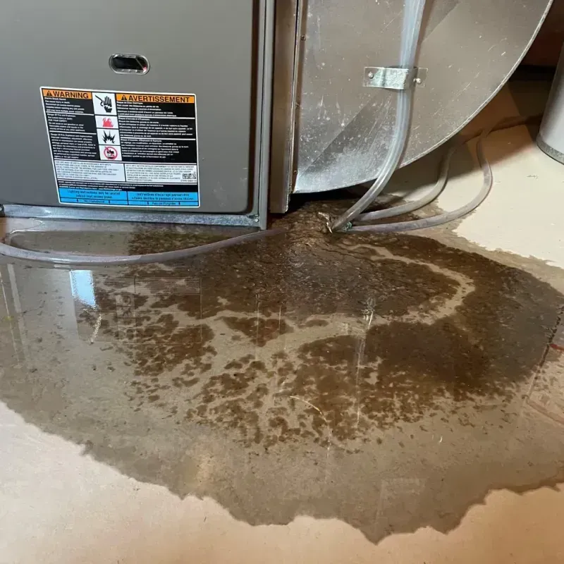 Appliance Leak Cleanup in Liberty, IN